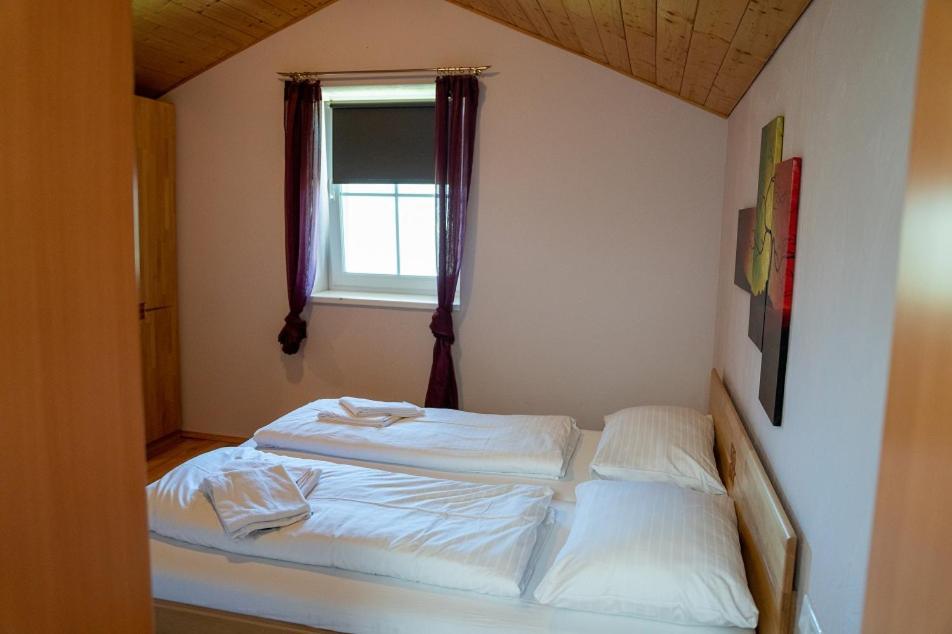 Rindis Platzl Apartmenthaus Schladming Kültér fotó